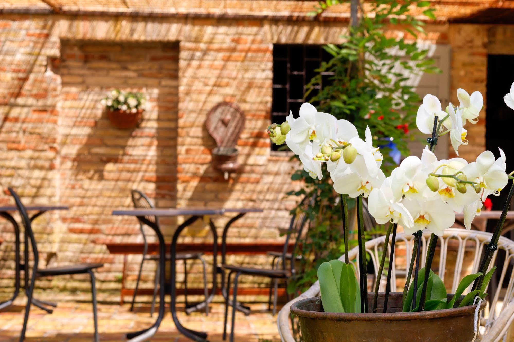 B&B La Residenza Del Poeta Montesicuro Екстер'єр фото